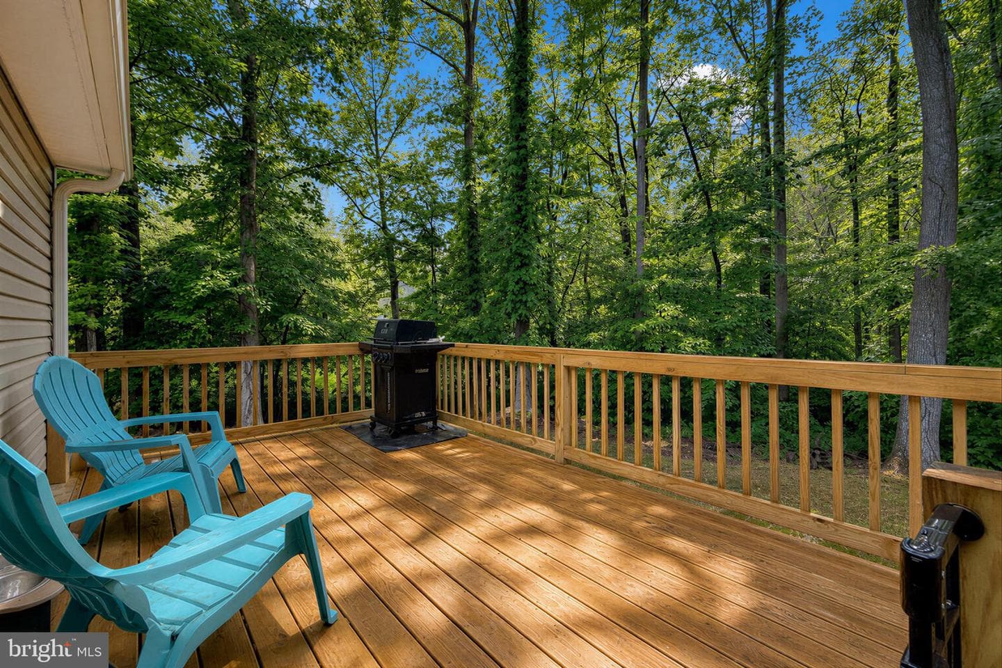 39122 Cooney Neck Road photo 29