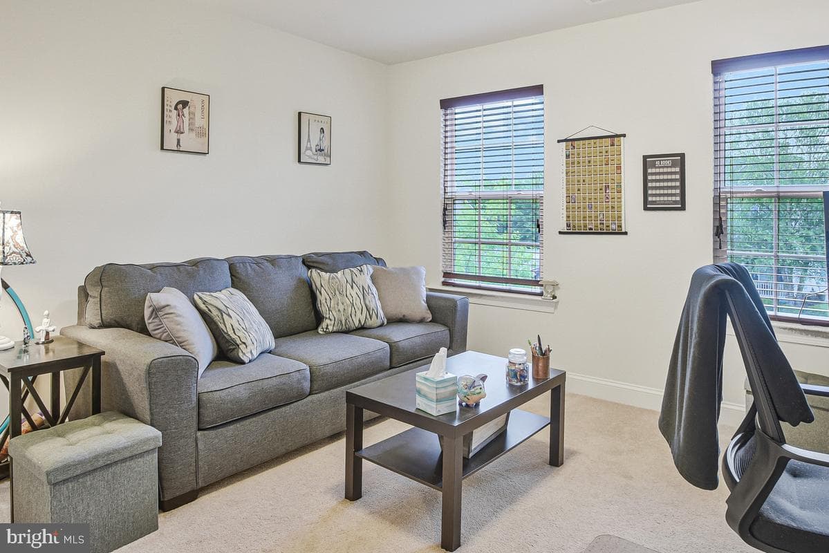 46836 Shelton Drive photo 22