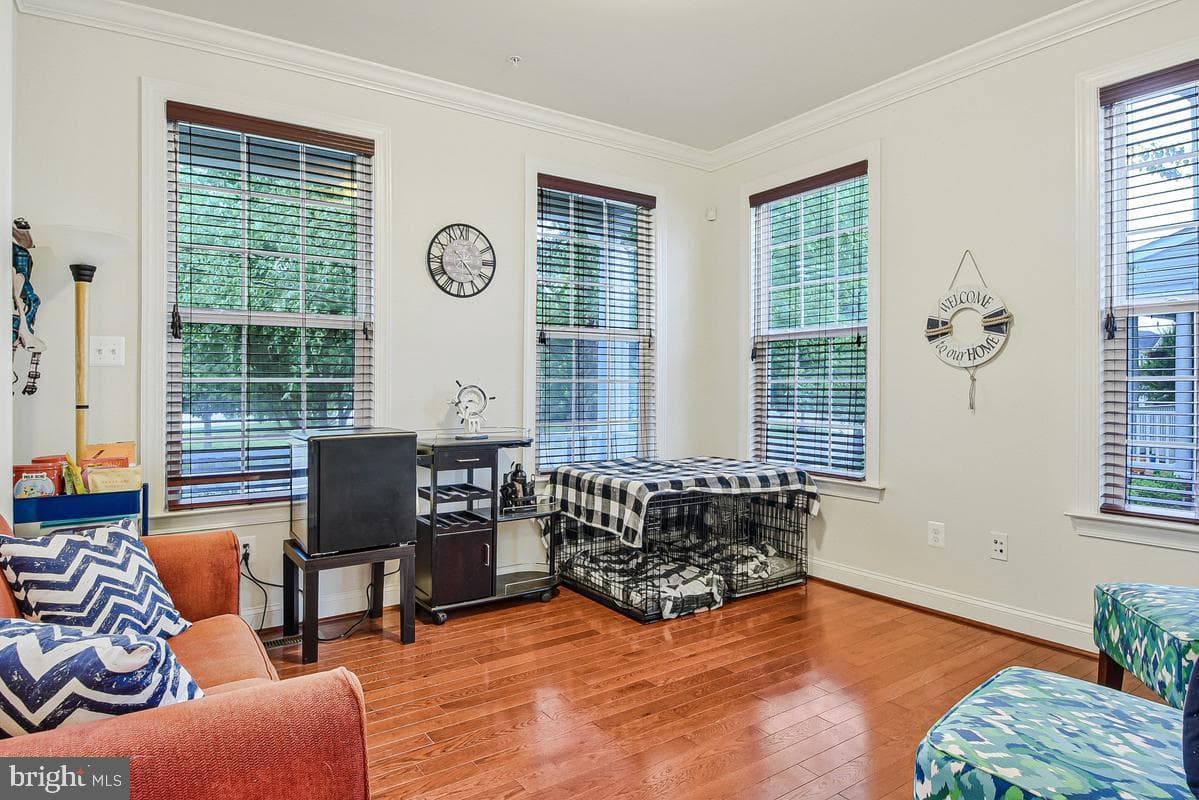 46836 Shelton Drive photo 32