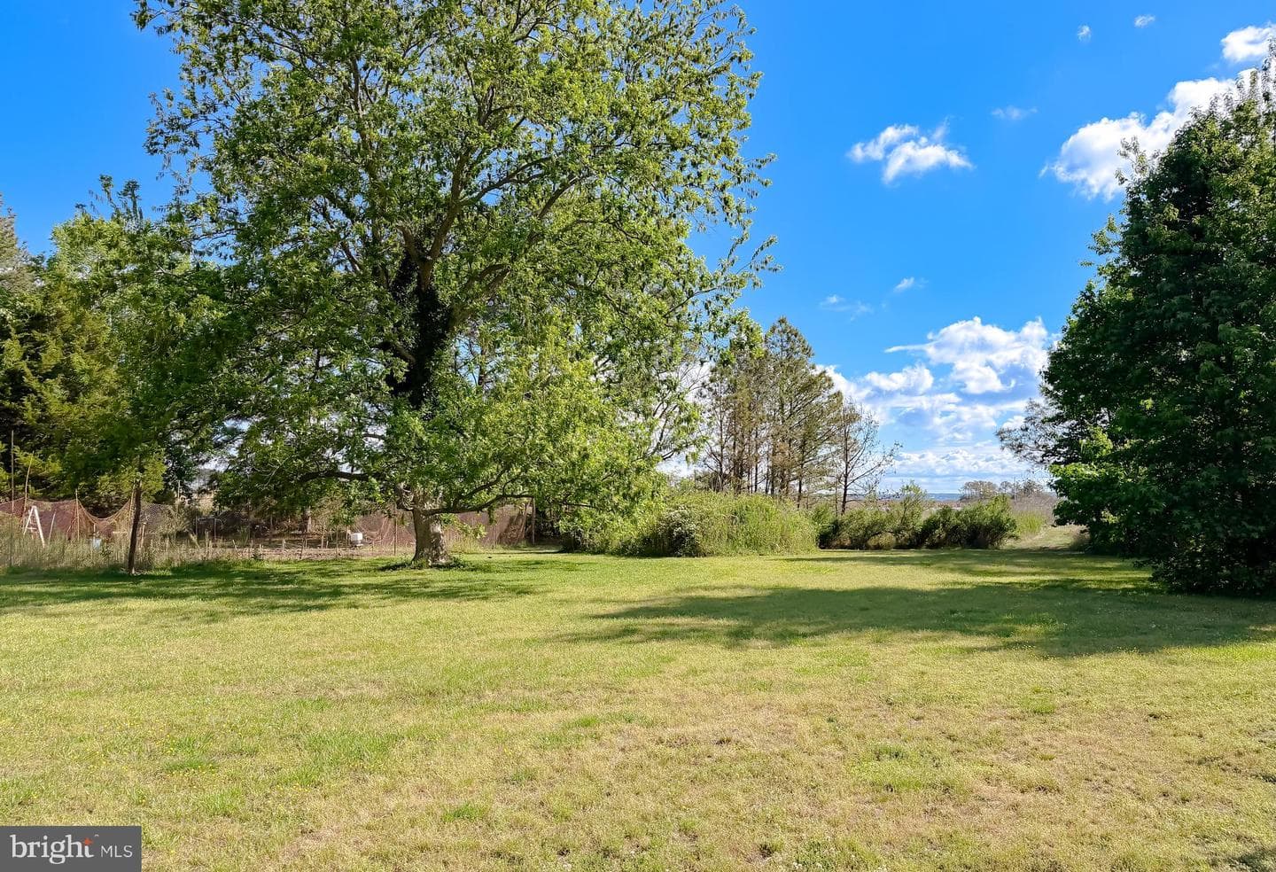 16146 Thomas Road photo 55