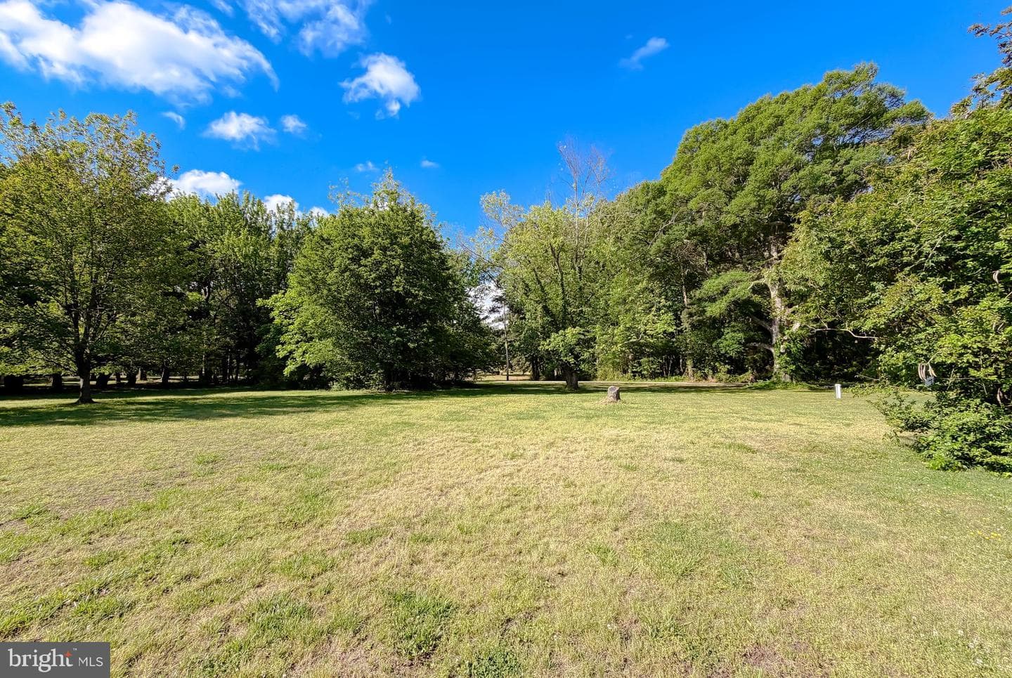 16146 Thomas Road photo 56