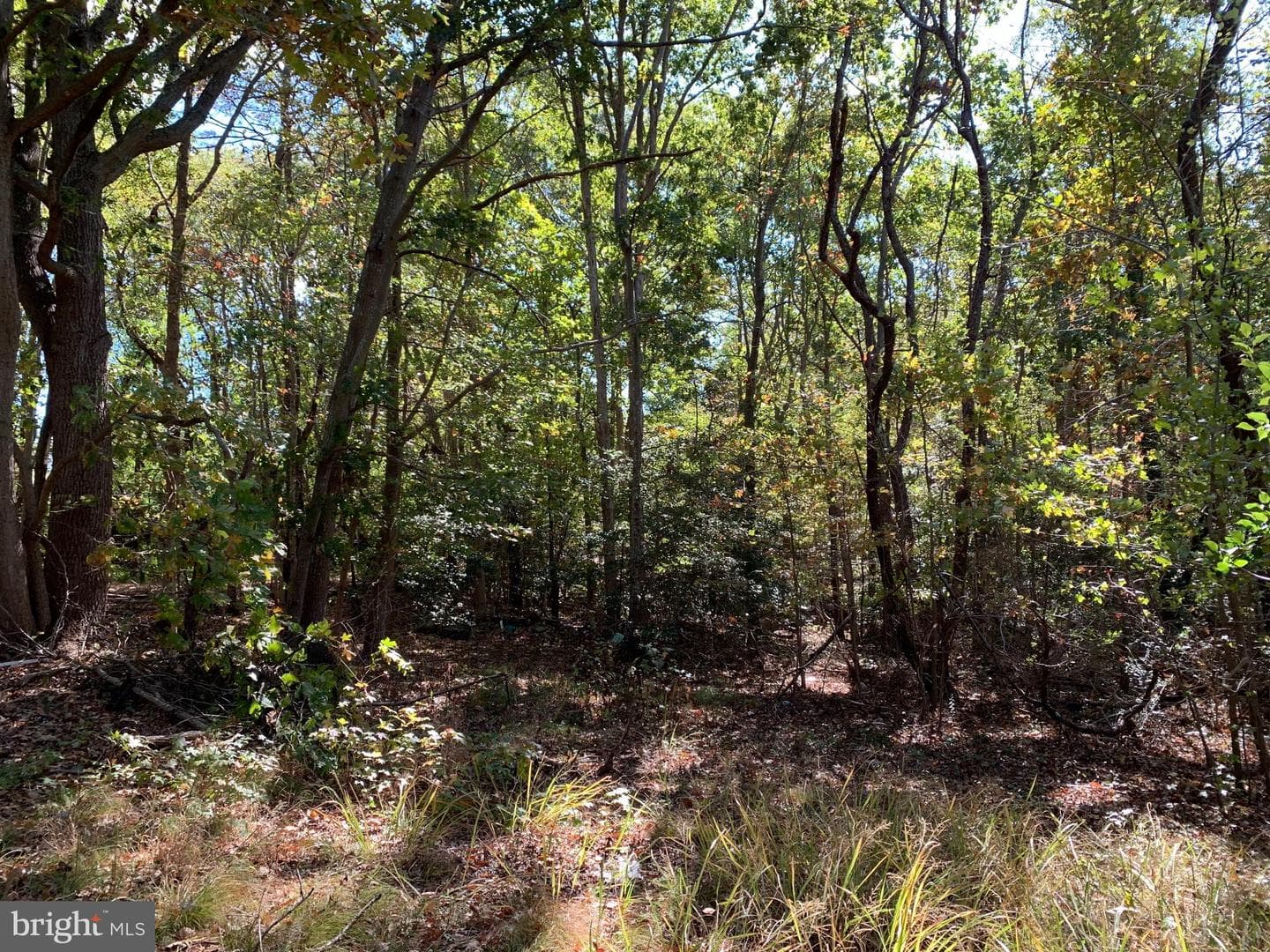 48683 Beachville Road photo 15