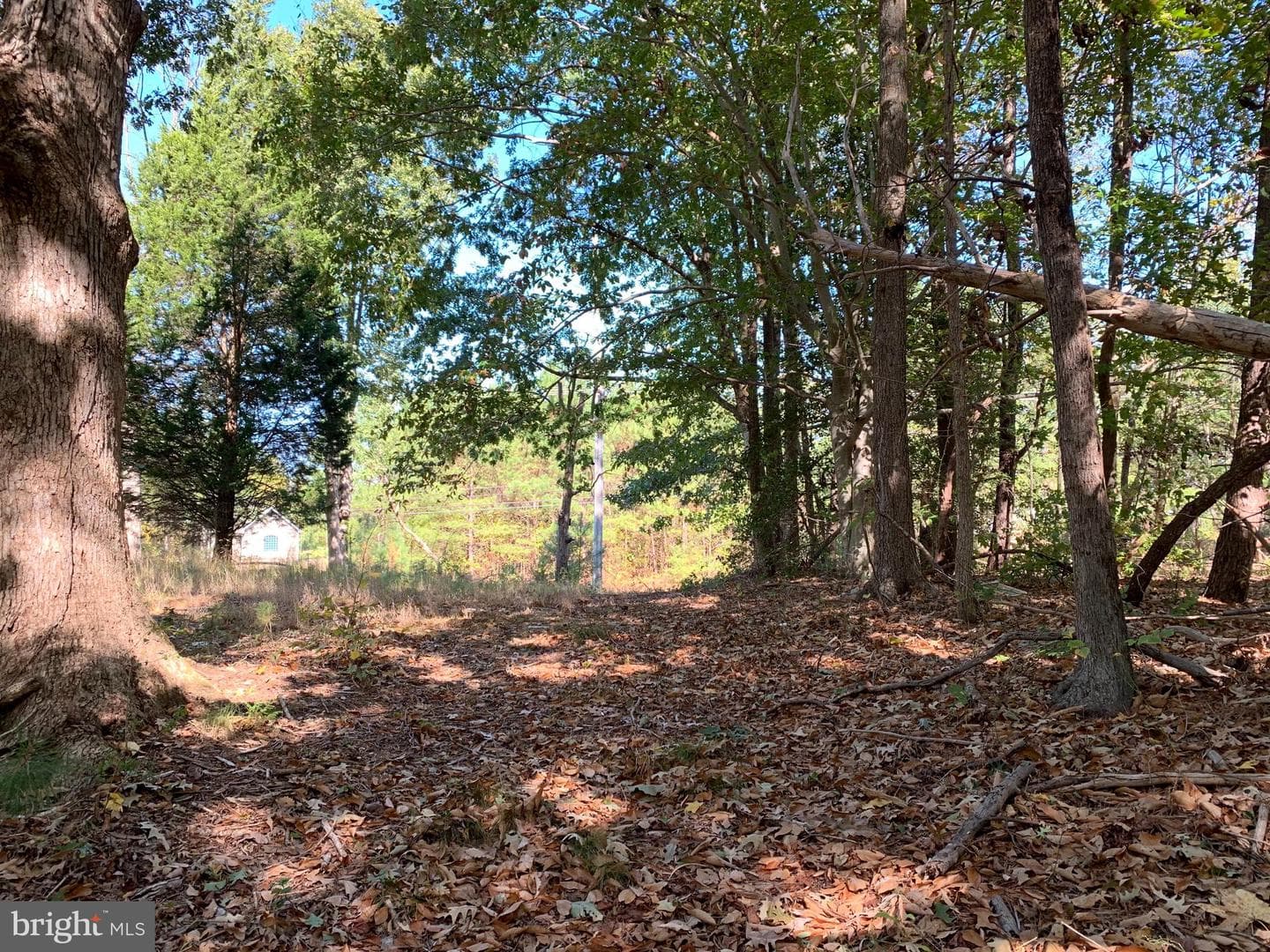48683 Beachville Road photo 18