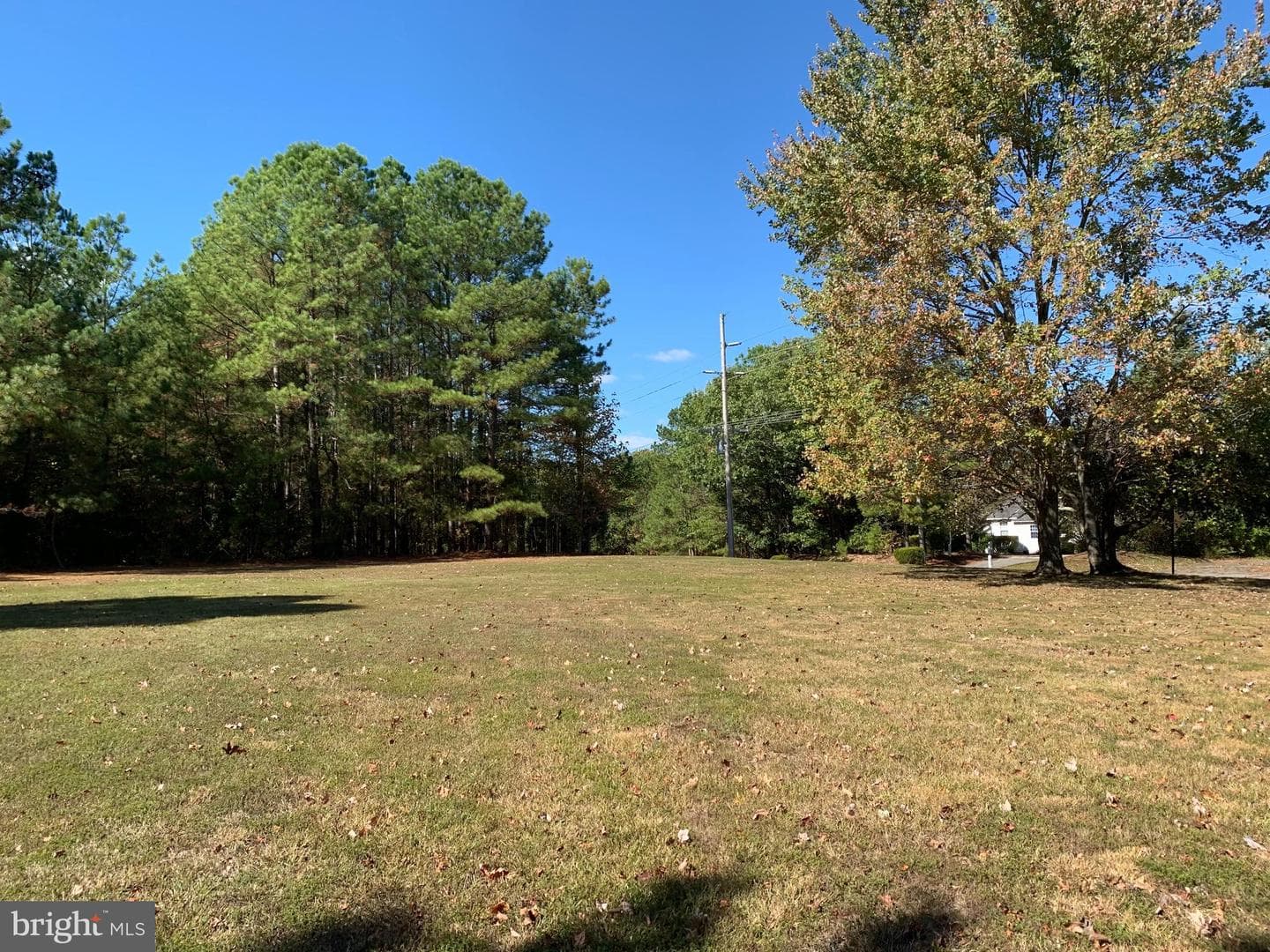 48683 Beachville Road photo 20