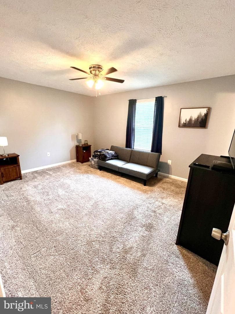36668 Owens Drive photo 13