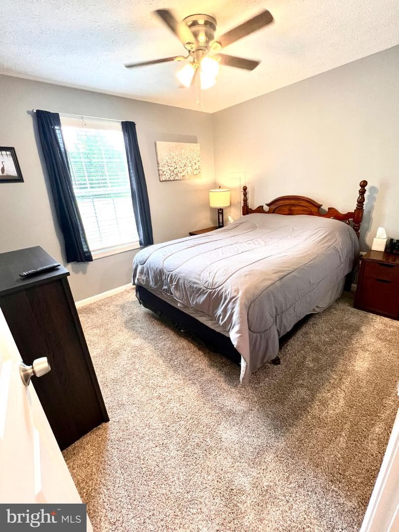 36668 Owens Drive photo 14