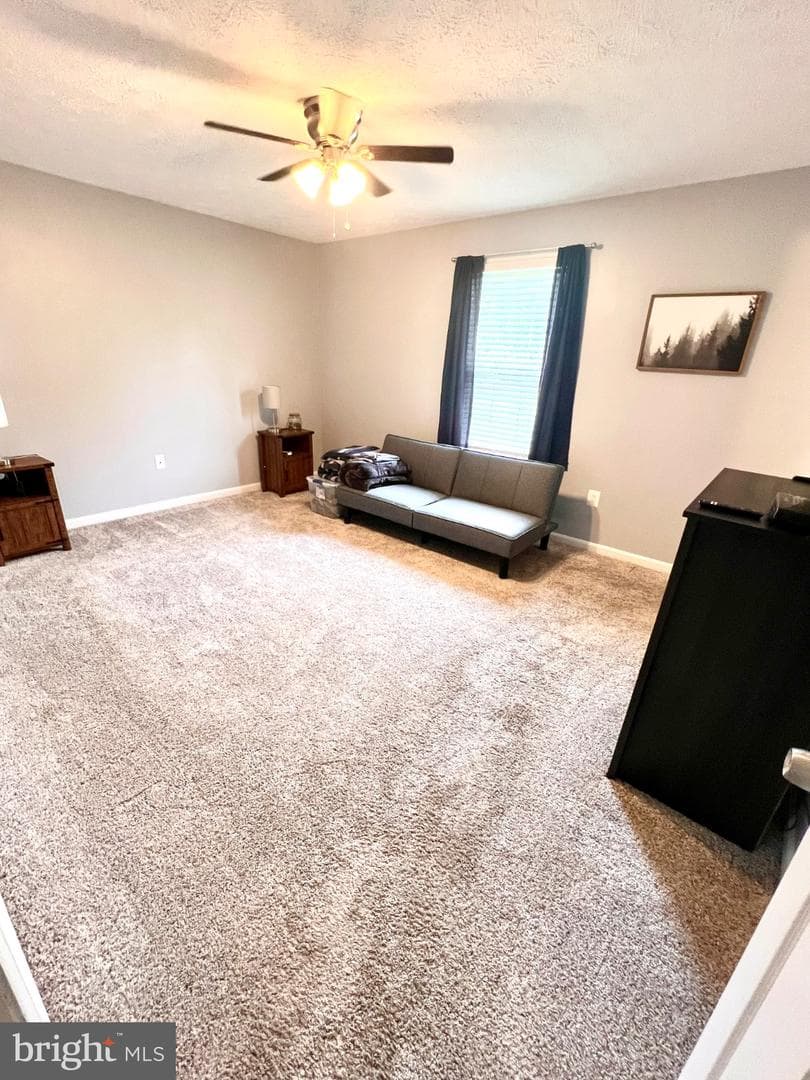 36668 Owens Drive photo 16
