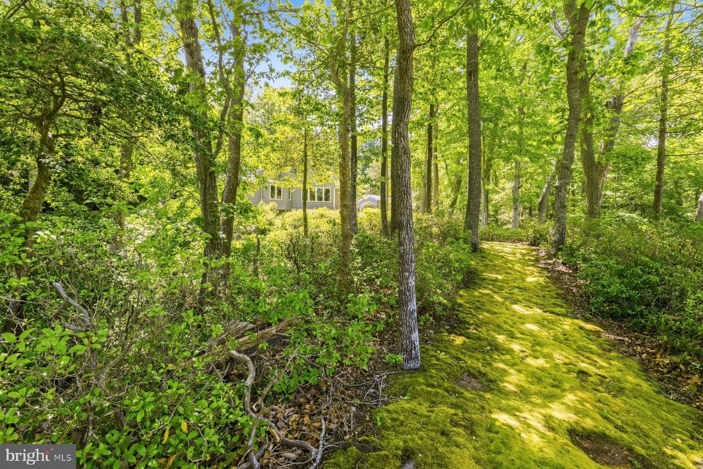 27279 Cat Creek Road photo 30
