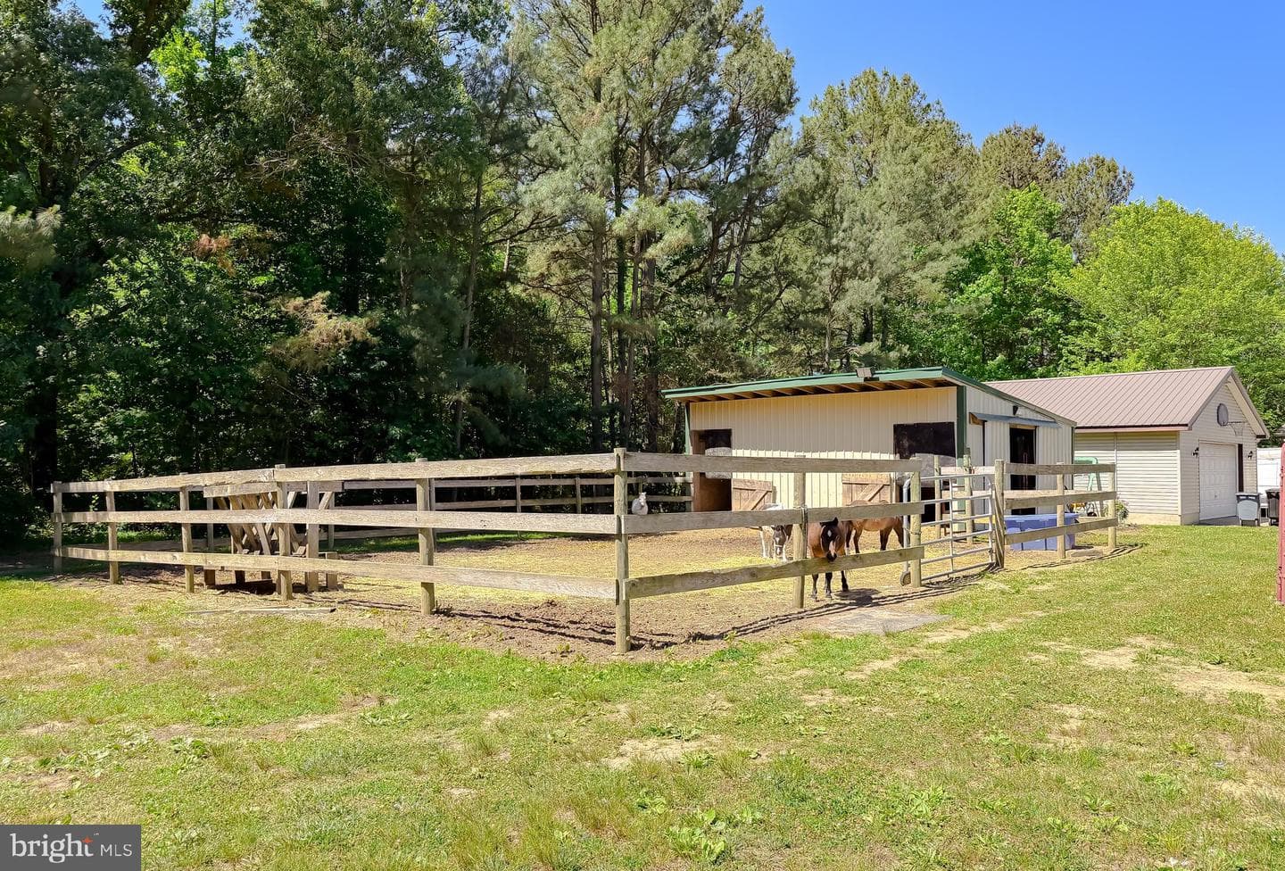 31370 Point Lookout Road photo 43