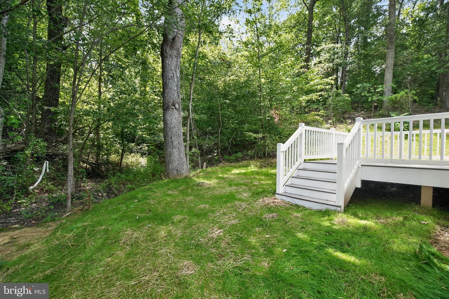 23690 Maddox Road photo 39