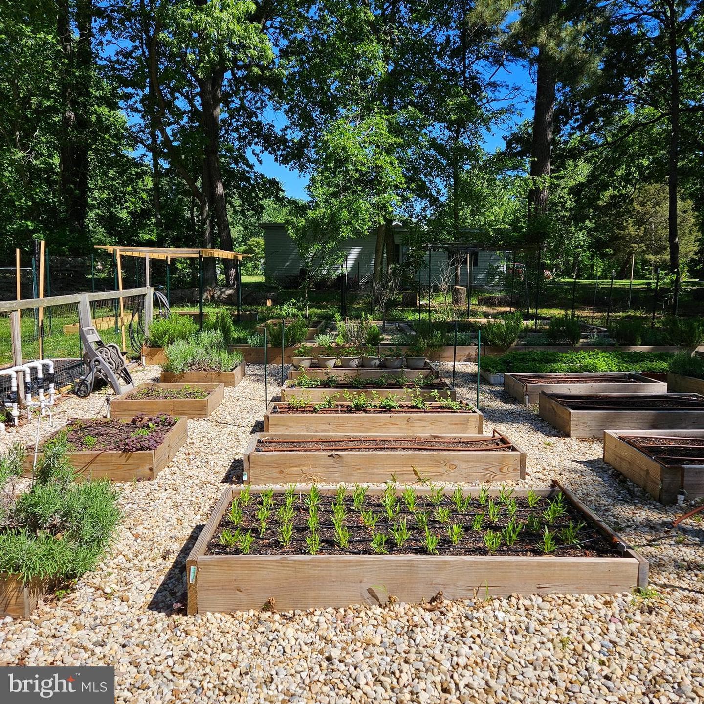 20623 Poplar Ridge Road E photo 50