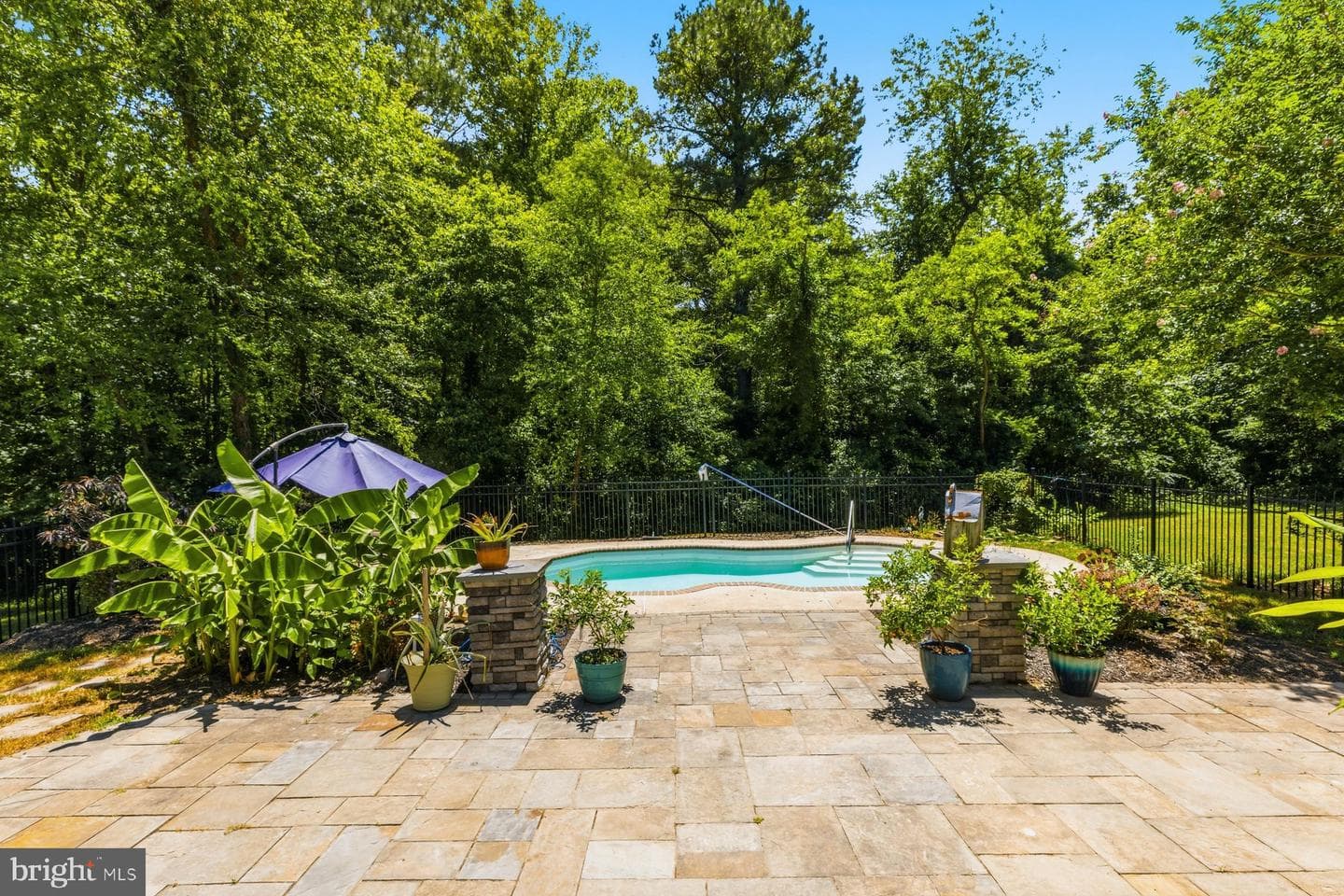 24249 Mcintosh Road photo 6