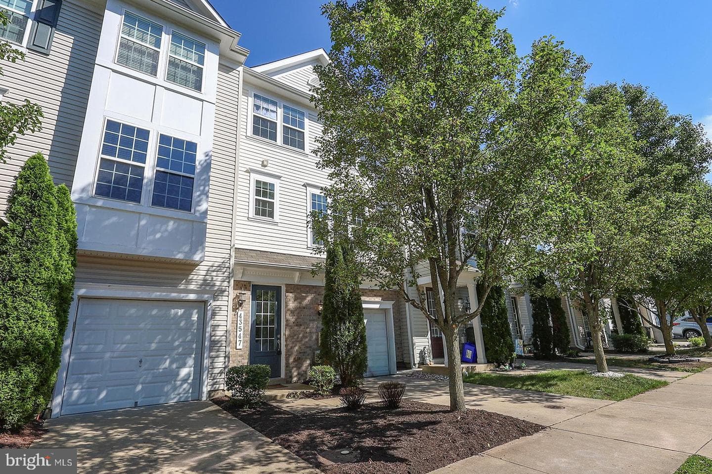 43547 Wild Iris Street photo 4