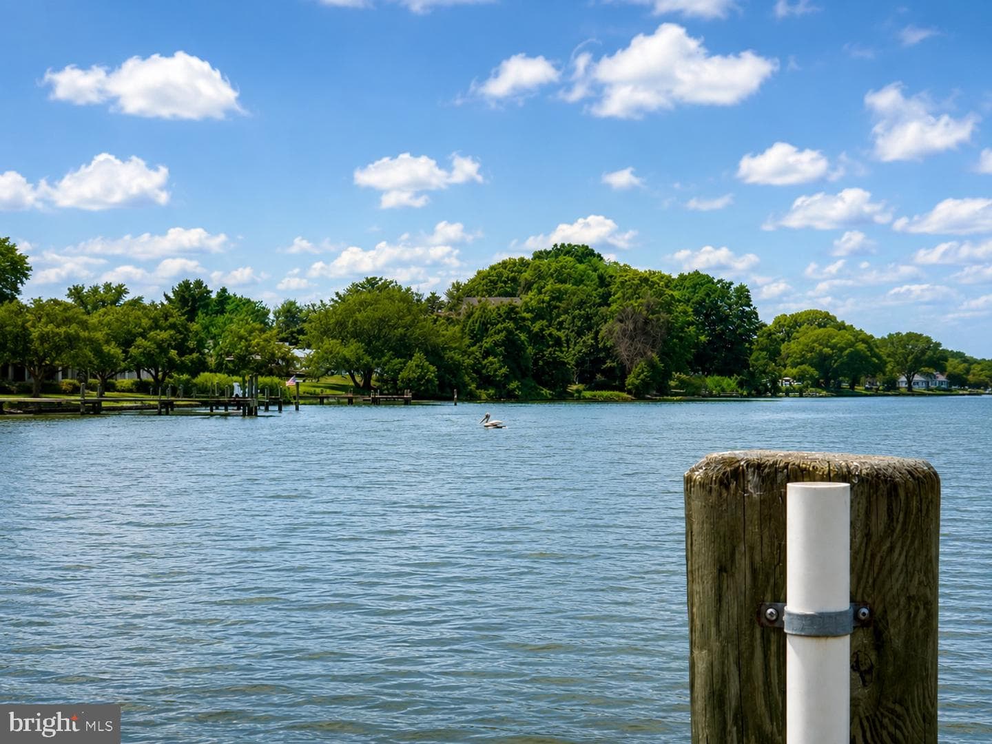 37526 River Springs Road photo 28