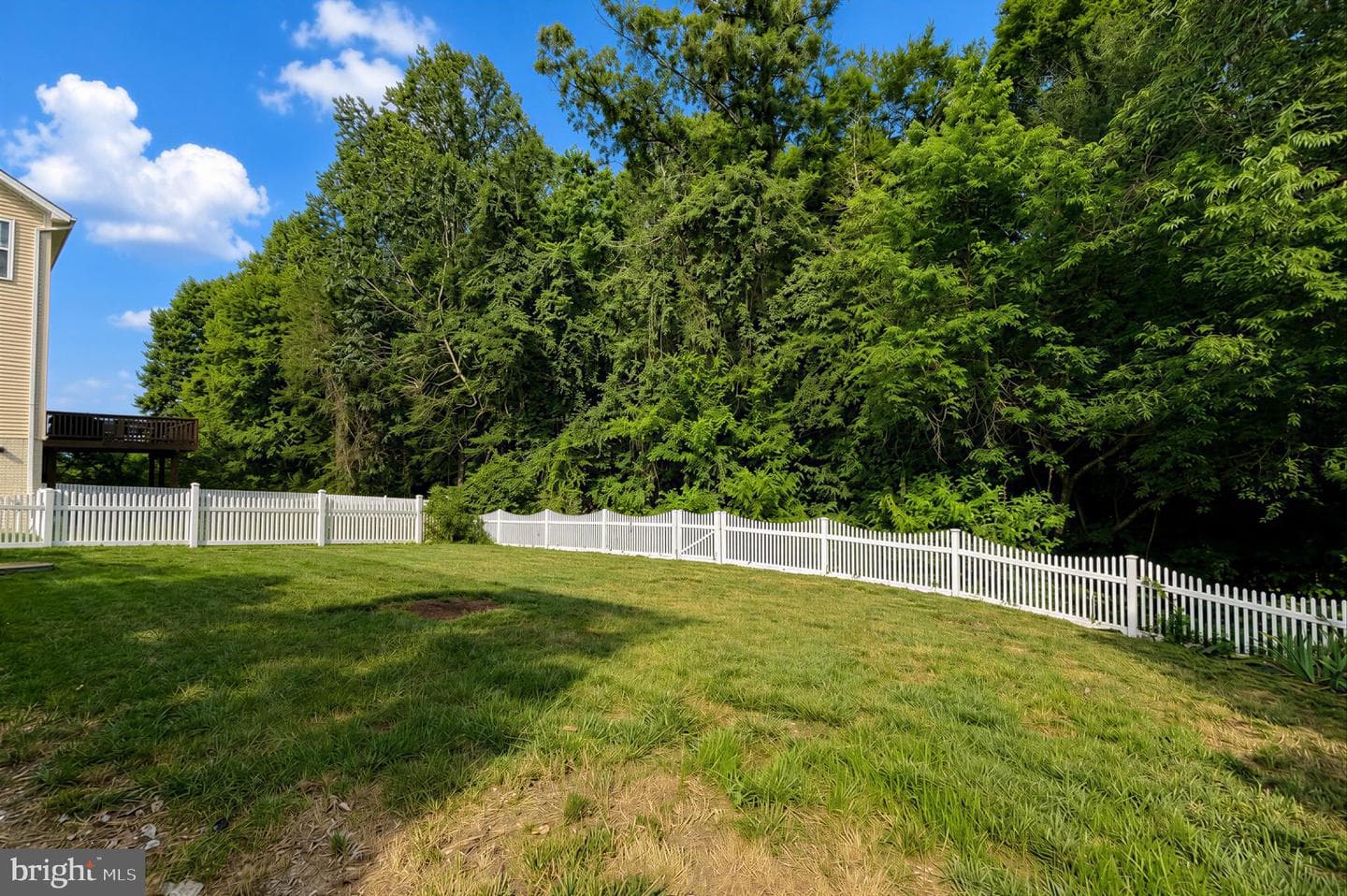 23591 Margrave Drive photo 10