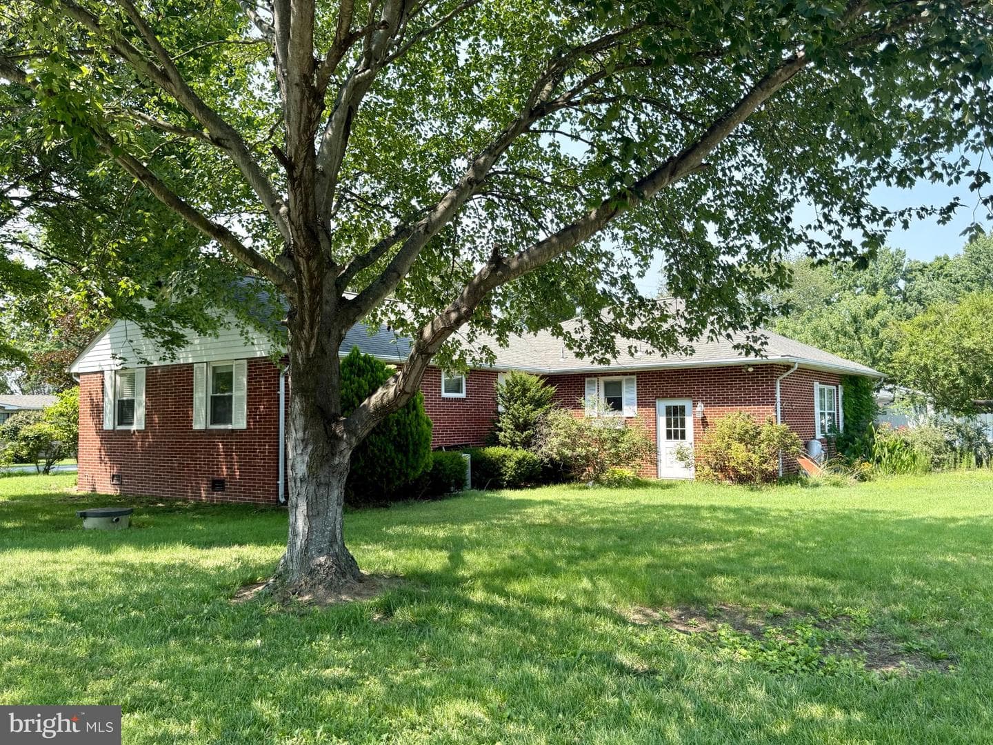 22332 Cedar Street photo 3