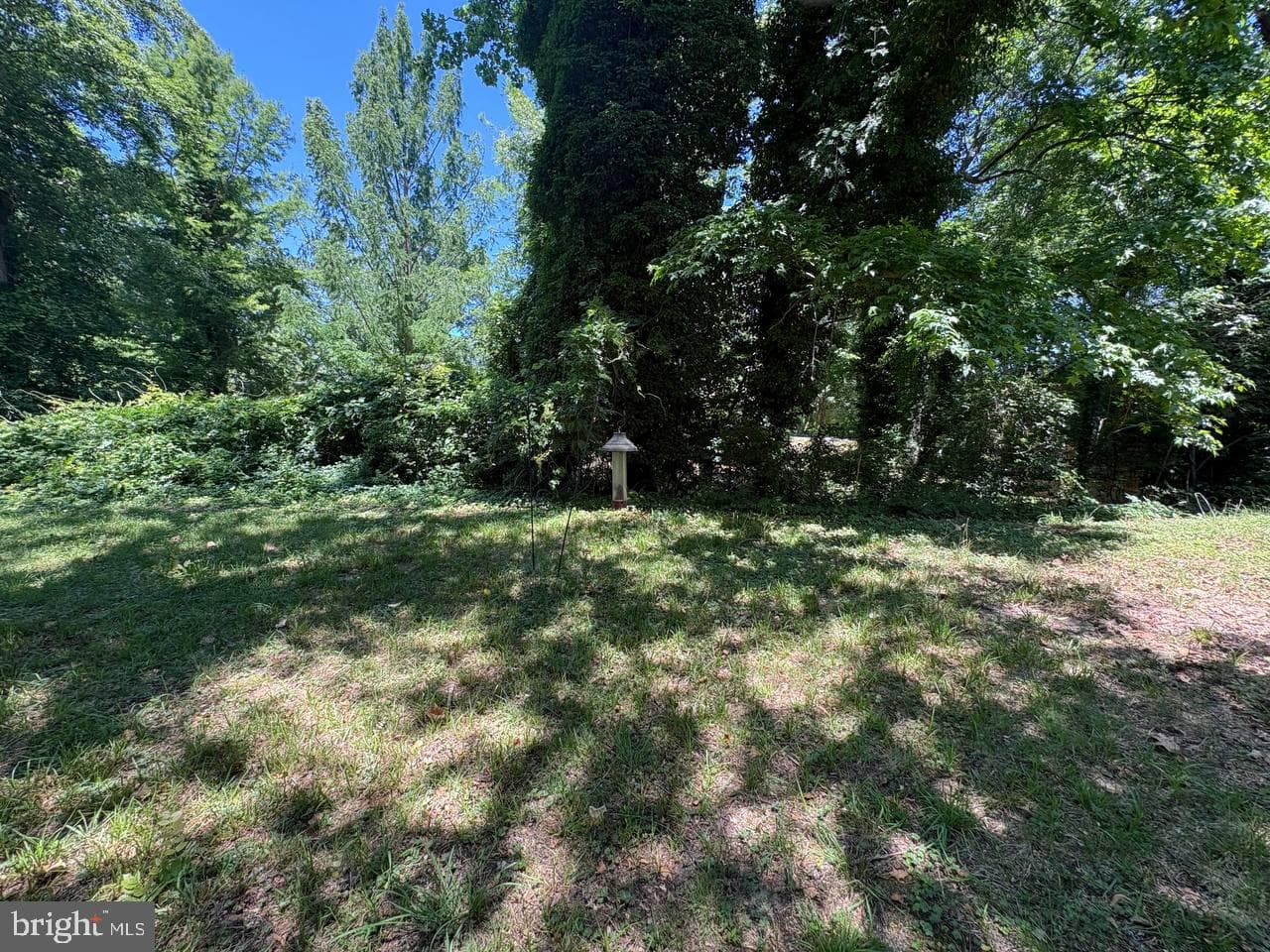 24719 Goose Neck Lane photo 6