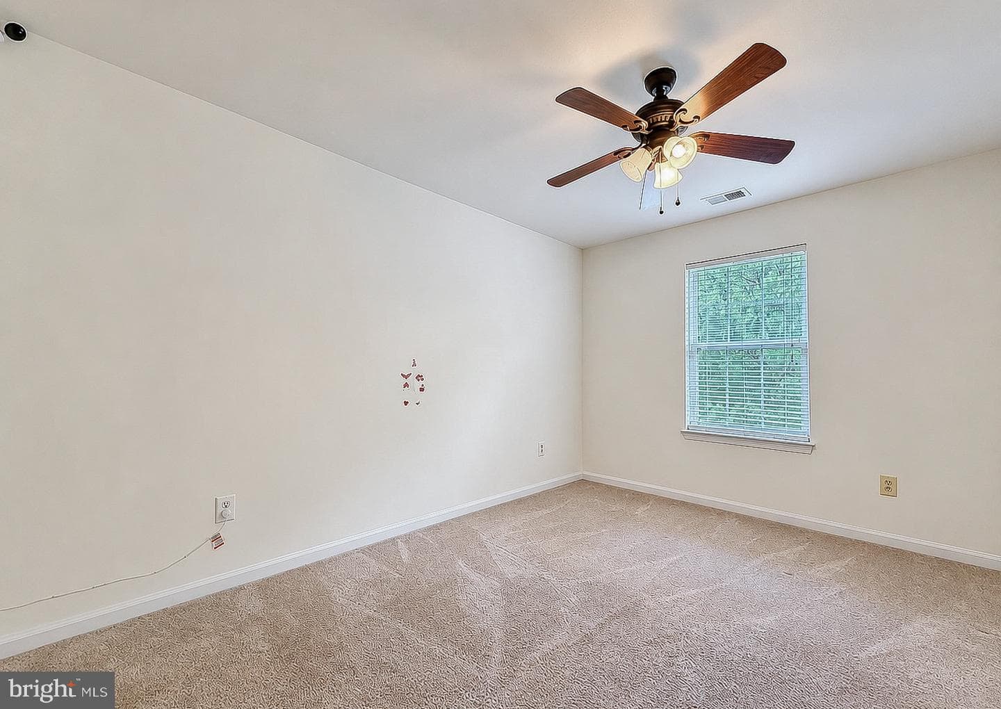 20912 Olympia Court photo 46