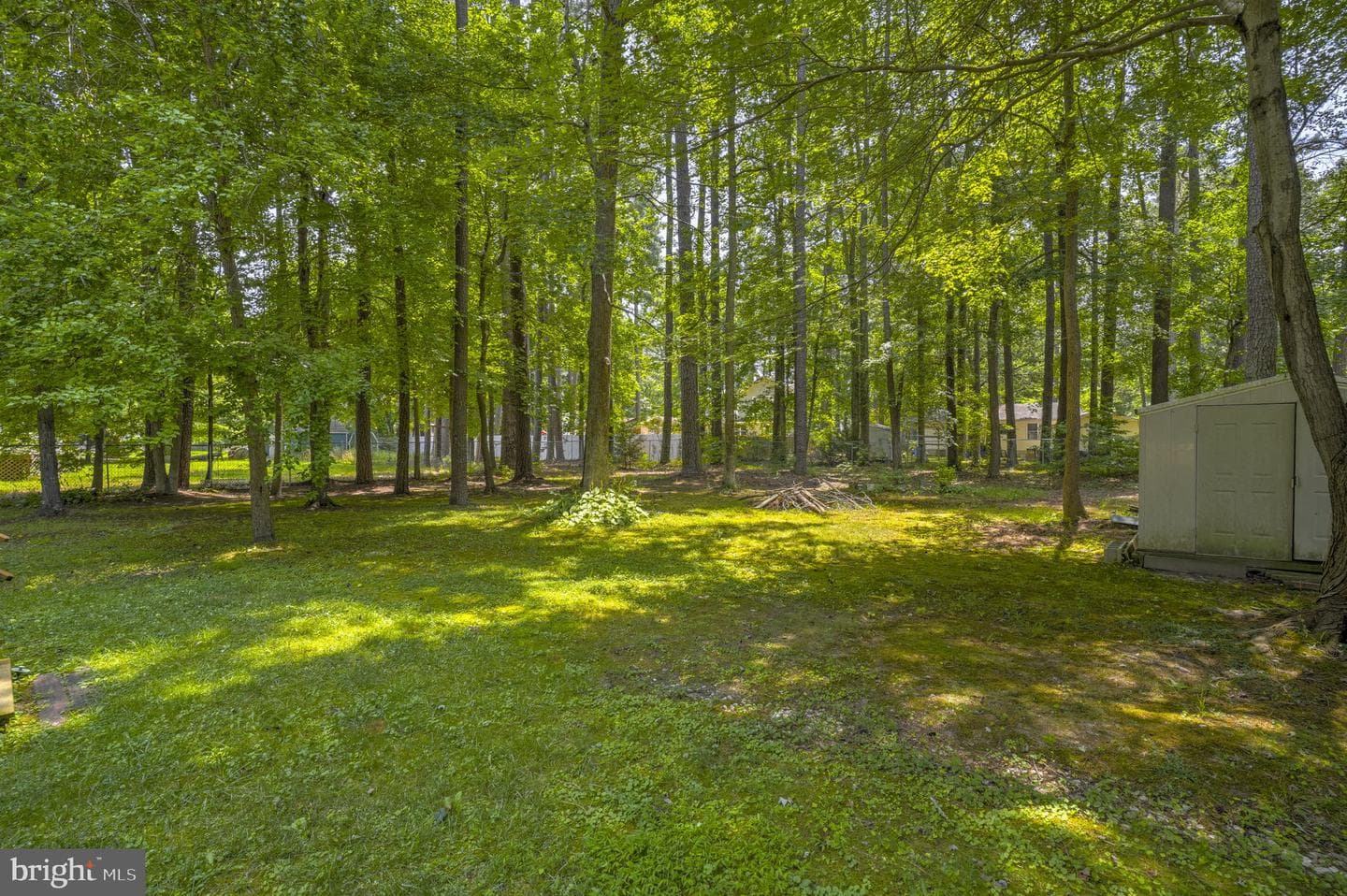 48923 Evergreen Park Road photo 20