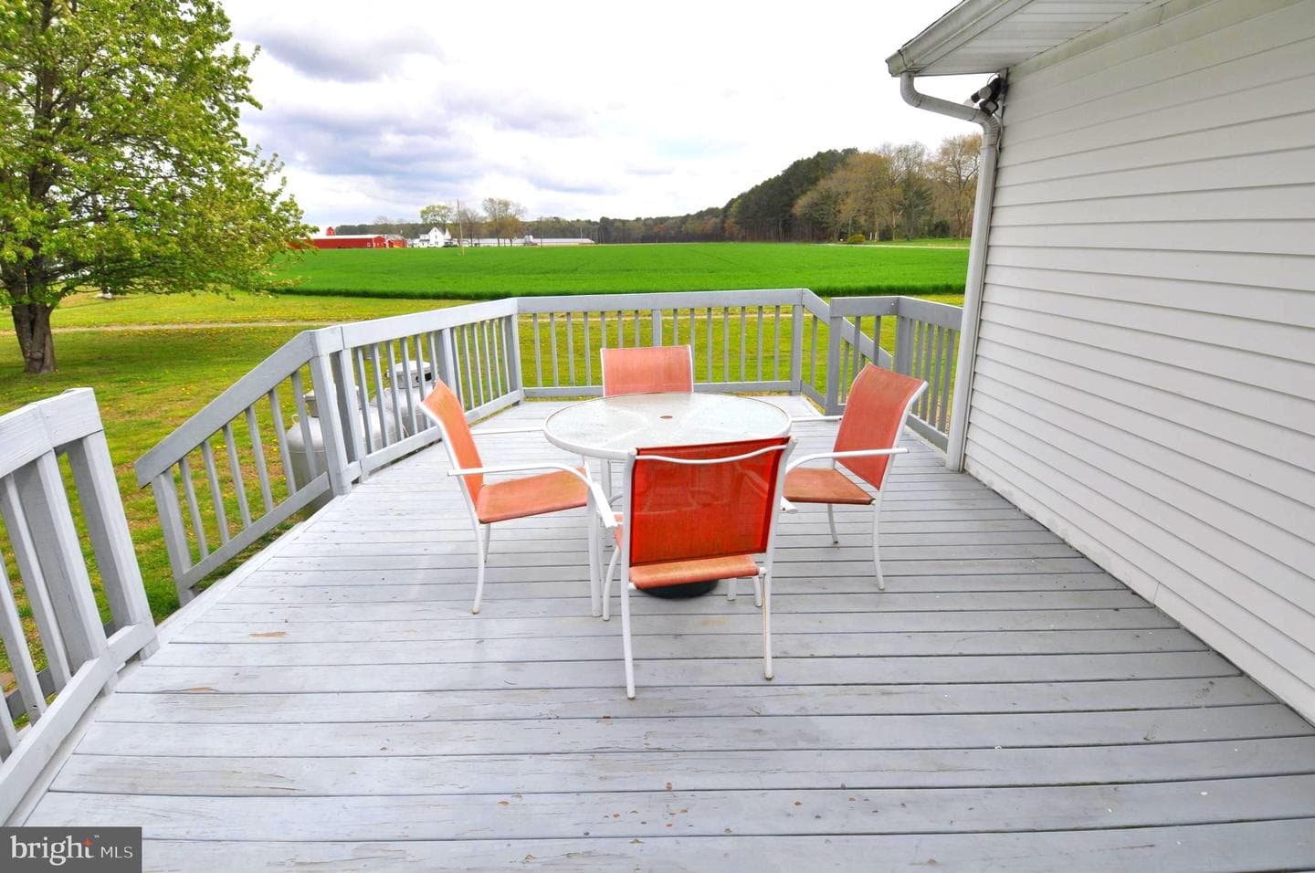 30376 Charles Barnes Road photo 37