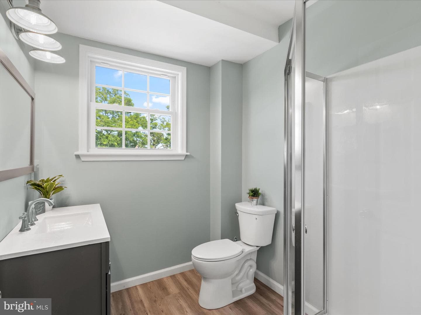 23156 Manokin Court photo 35