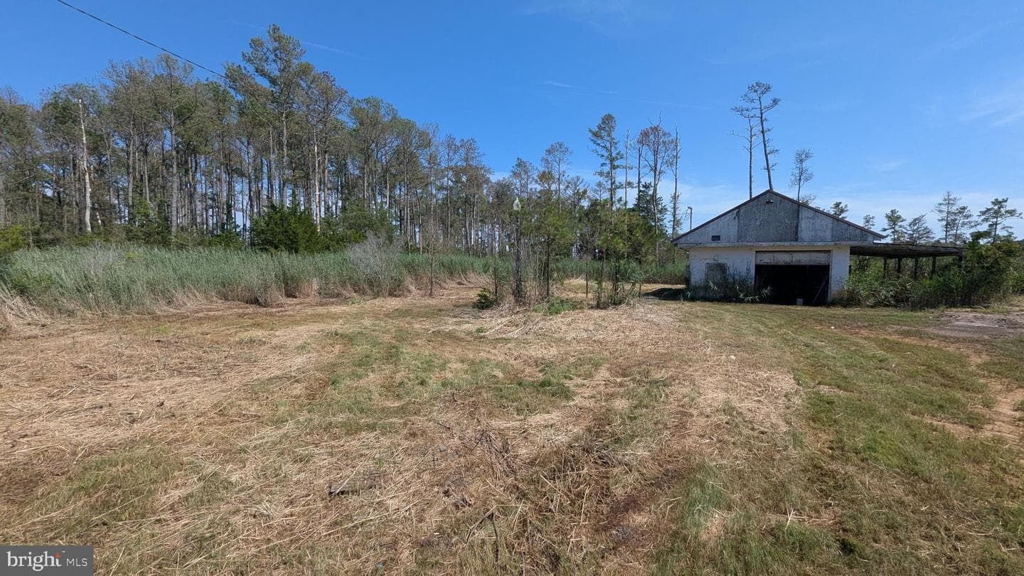 3012 William Maddox Road photo 4