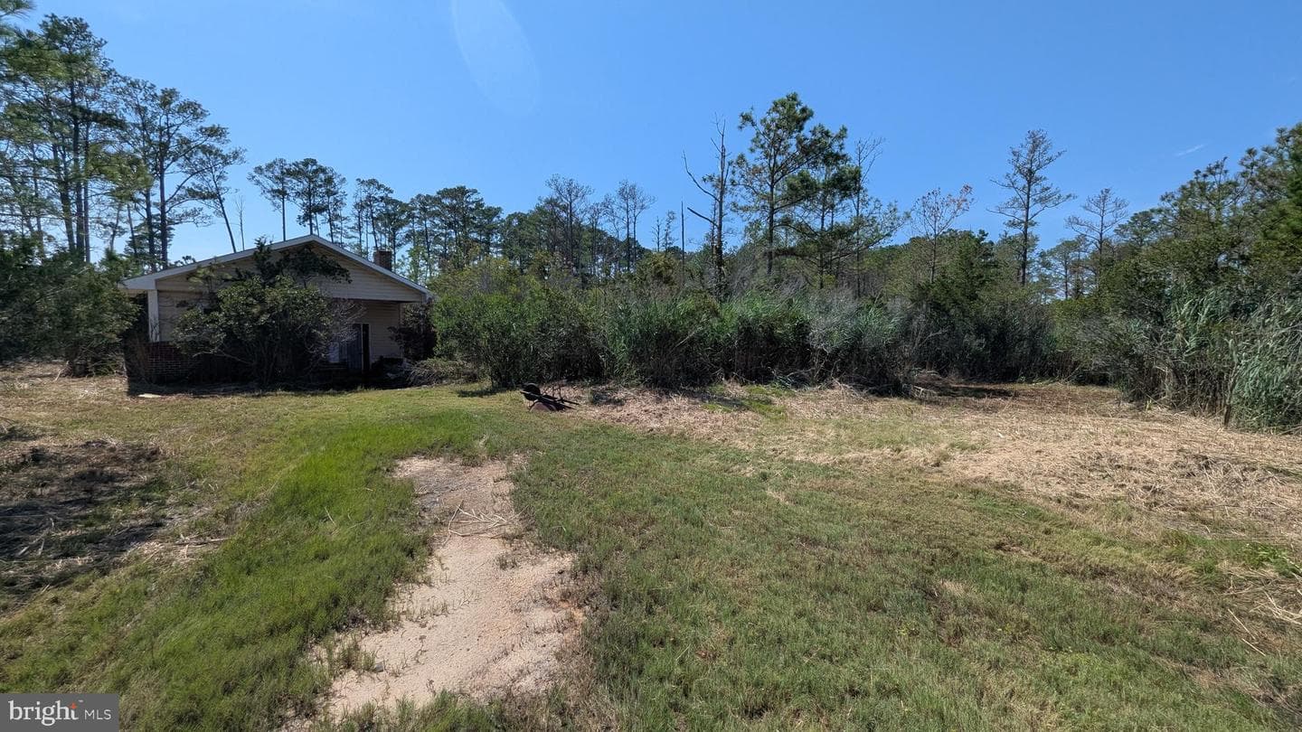 3012 William Maddox Road photo 5
