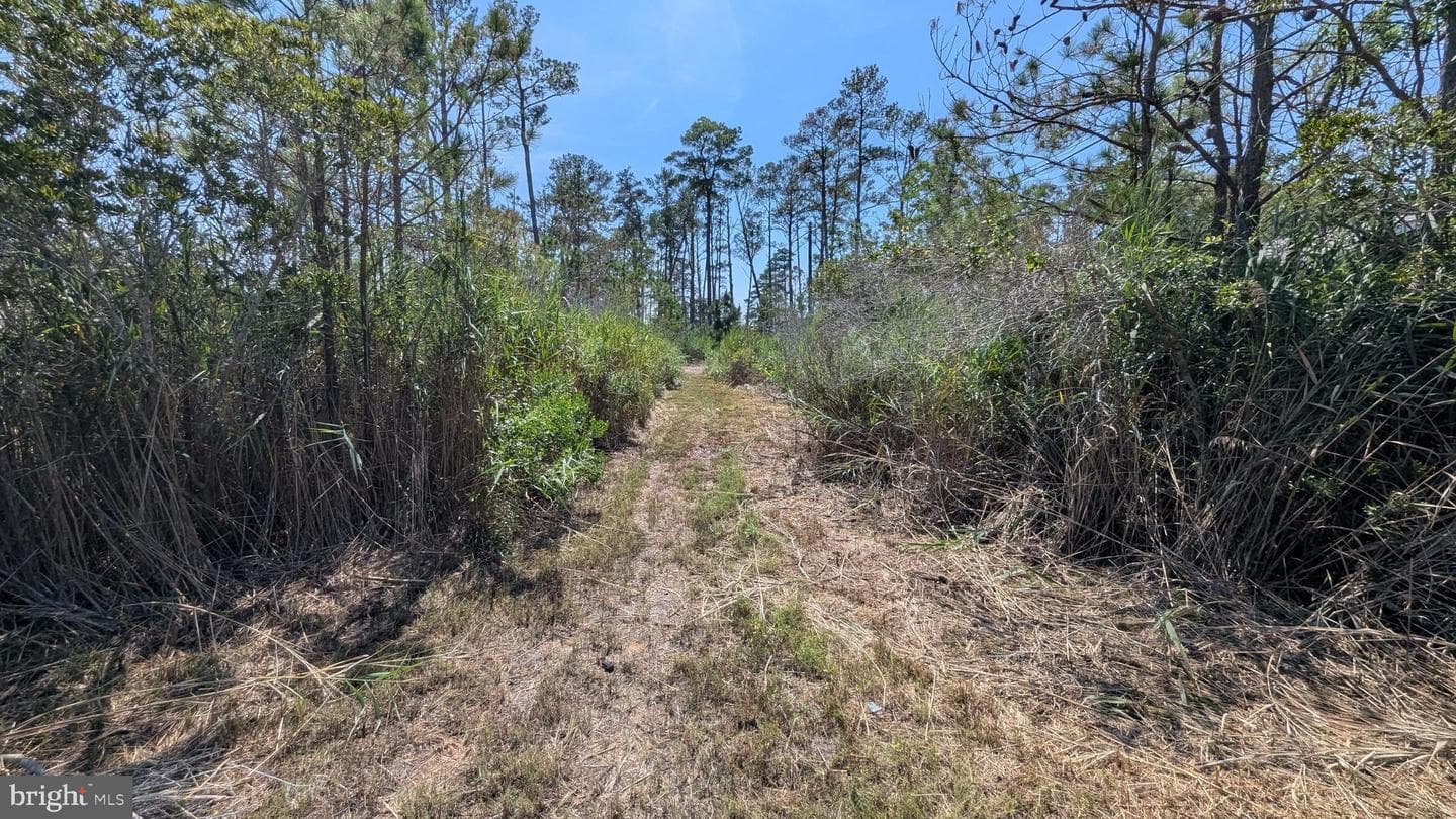 3012 William Maddox Road photo 7