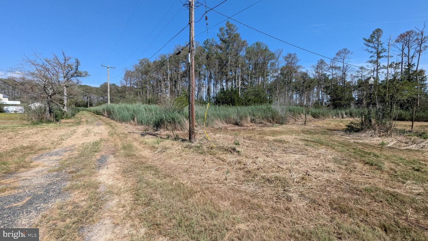 3012 William Maddox Road photo 9