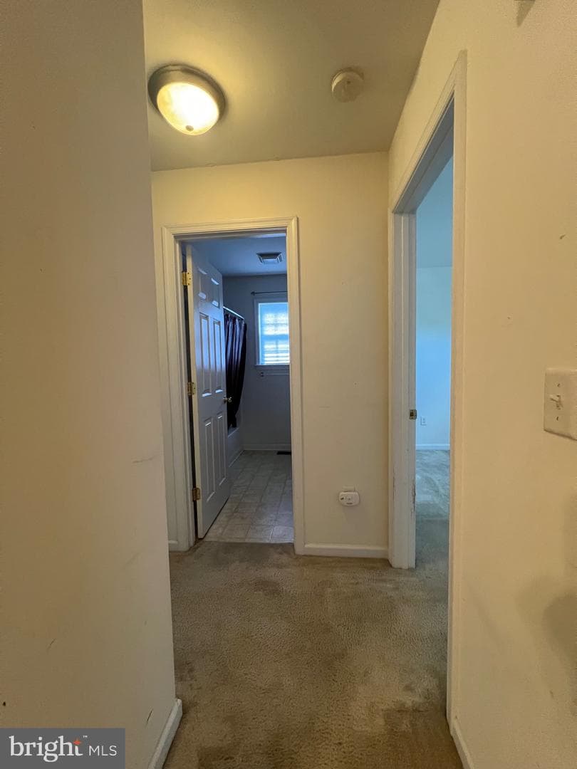 30471 Manor Drive photo 19