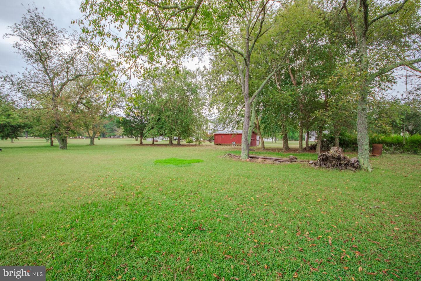 23659 Thomas Price Road photo 35