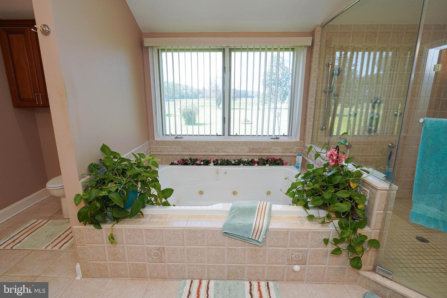 27949 Phoenix Church Road photo 40