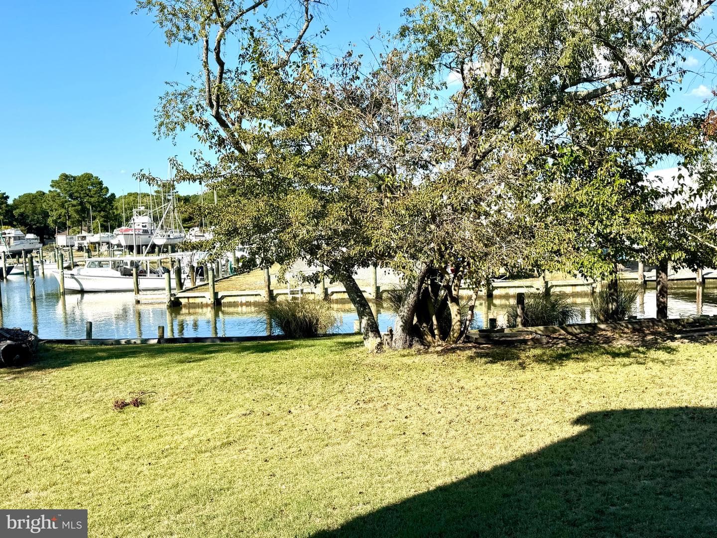 10515 Cassandra Drive photo 25