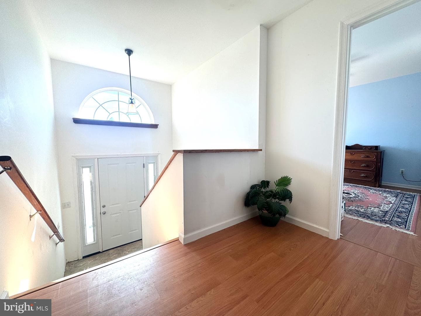 10515 Cassandra Drive photo 9