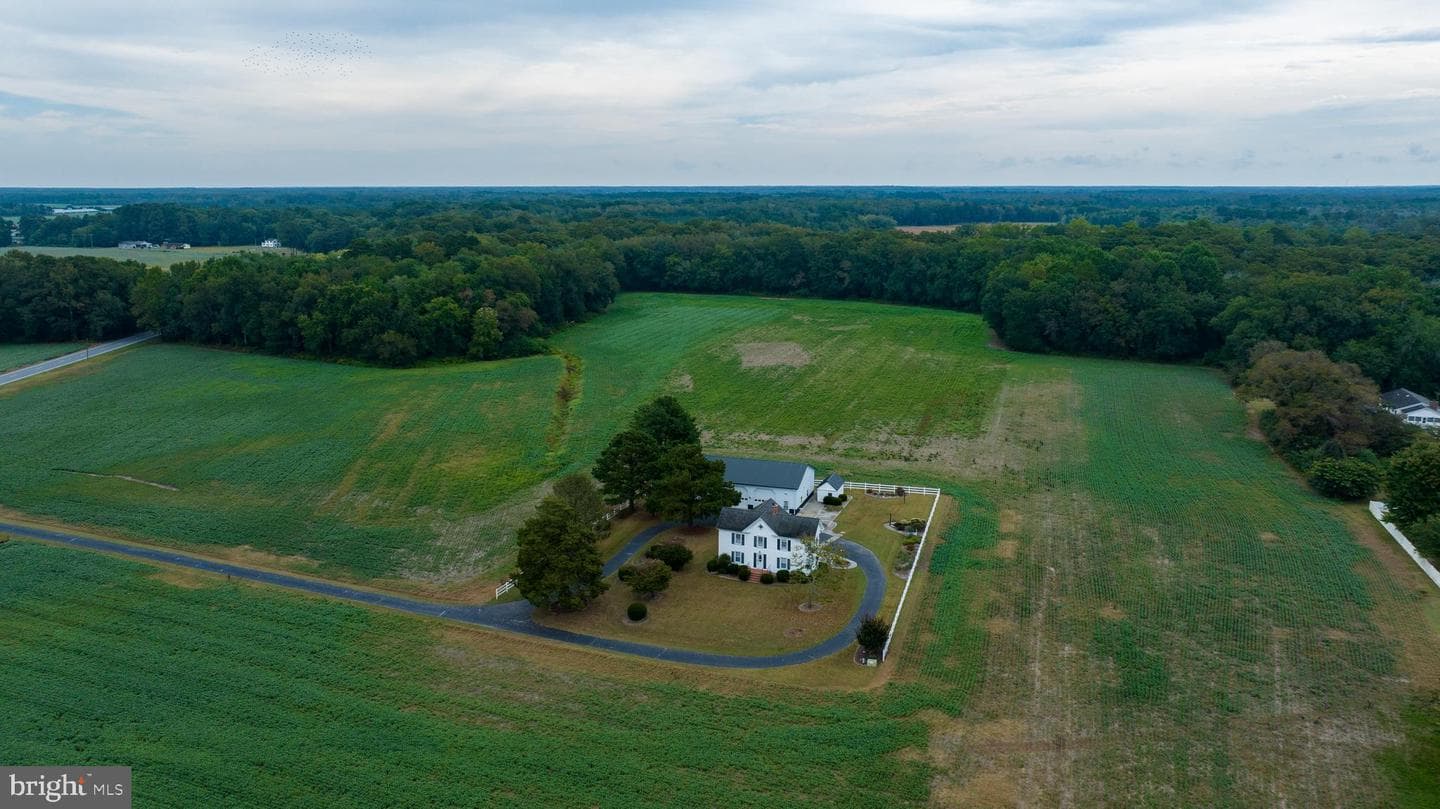 7751 Dividing Creek photo 4