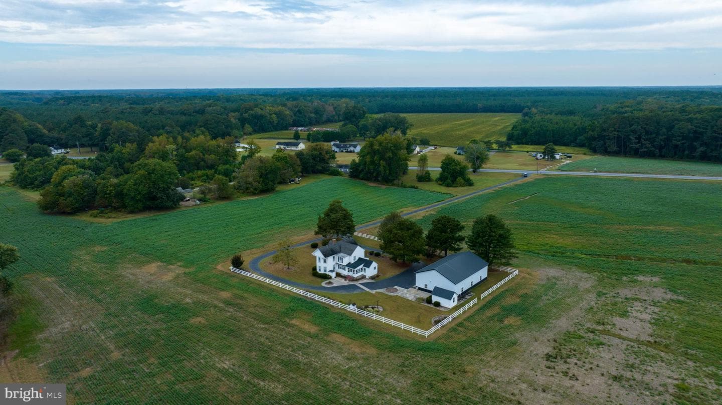 7751 Dividing Creek photo 5