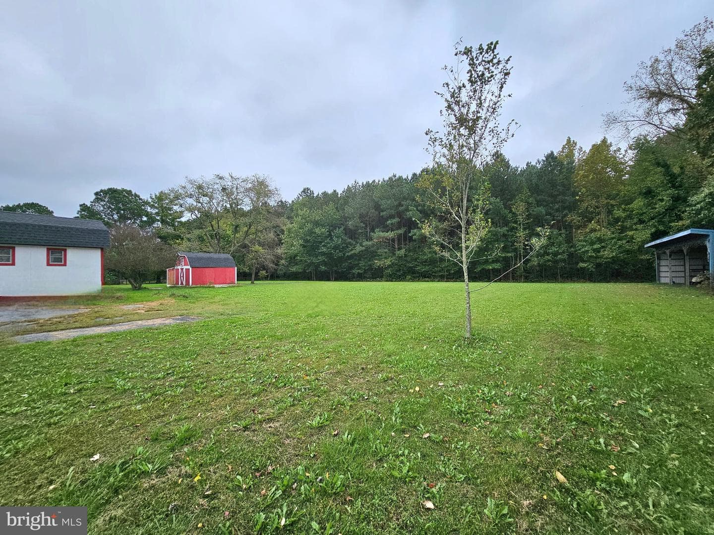 29769 Kingston Lane photo 49