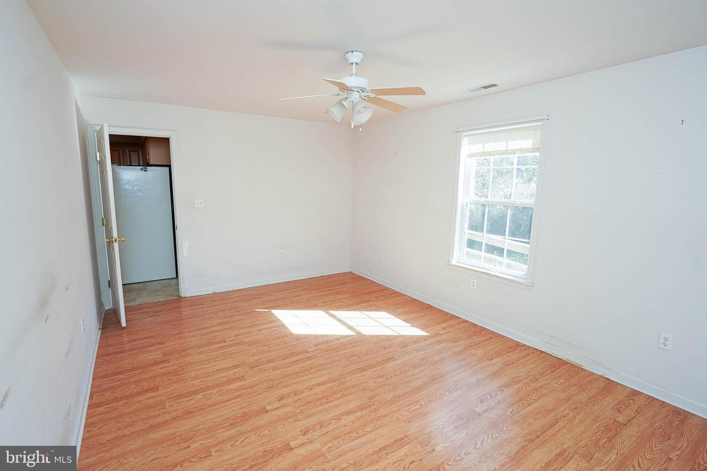 23290 Custom House Road photo 19