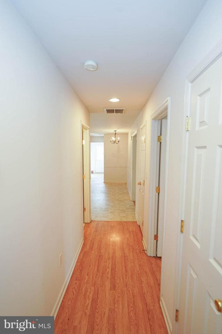 23290 Custom House Road photo 21