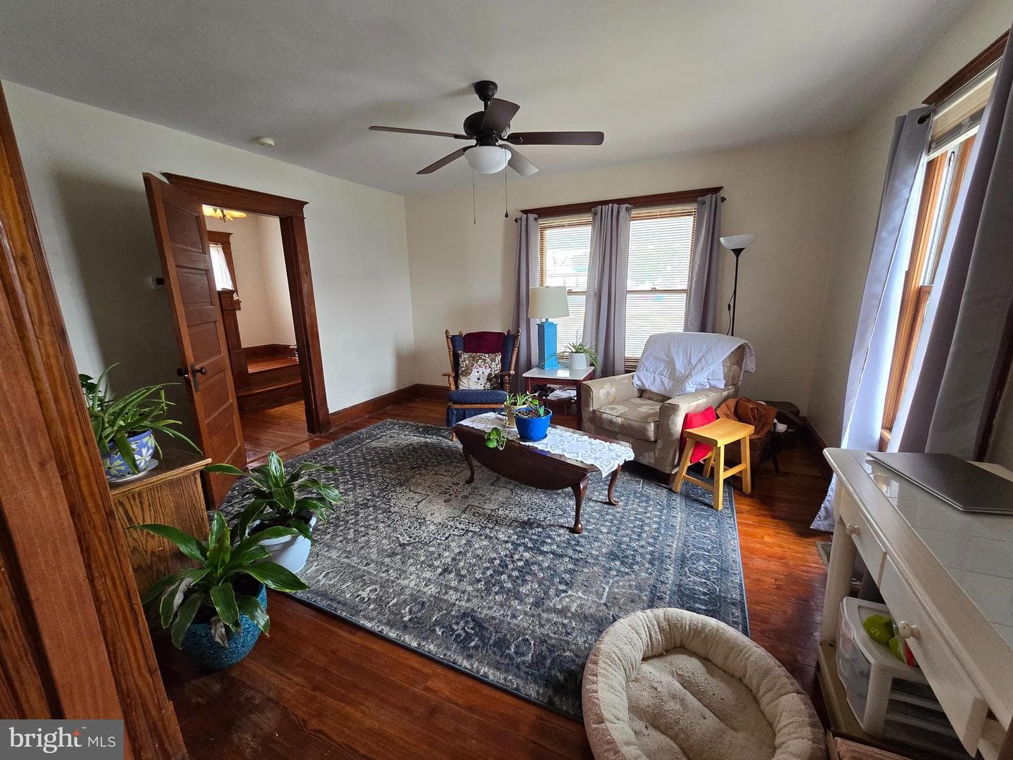 52 Maryland Avenue photo 7