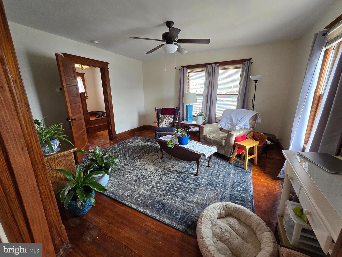52 Maryland Avenue photo 9