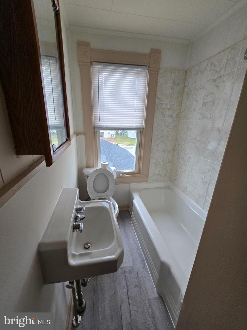 205 Myrtle Street photo 53