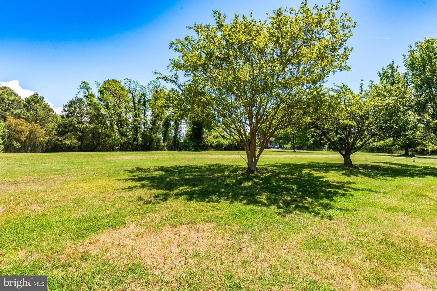 23212 Haines Point Road photo 43