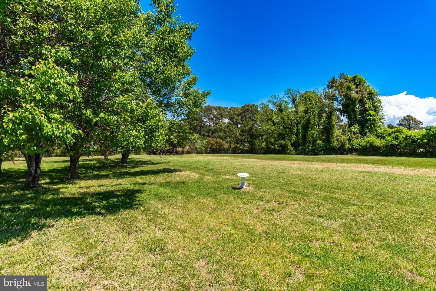 23212 Haines Point Road photo 44