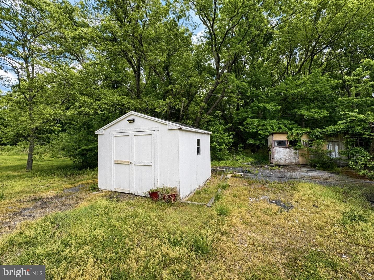 10821 Toddville Road photo 12