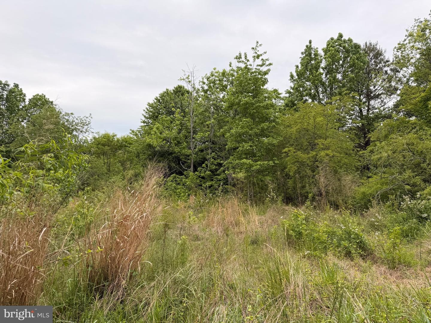 23686 Earl Webster Road photo 10