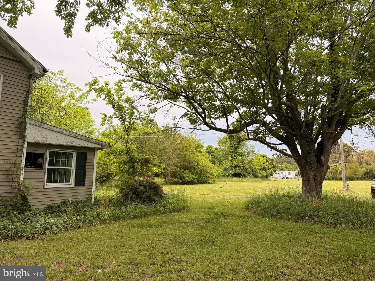 23686 Earl Webster Road photo 12