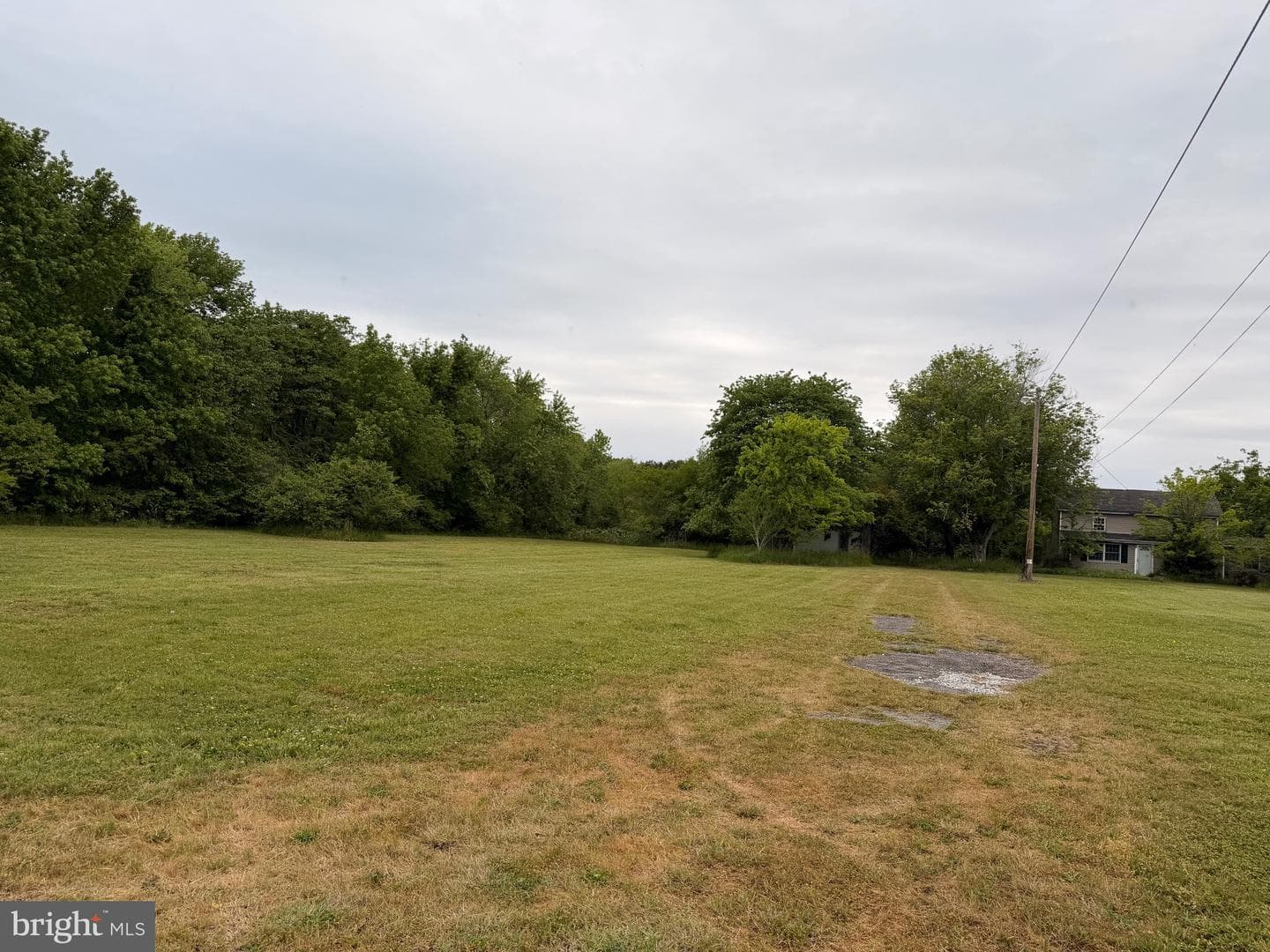 23686 Earl Webster Road photo 14