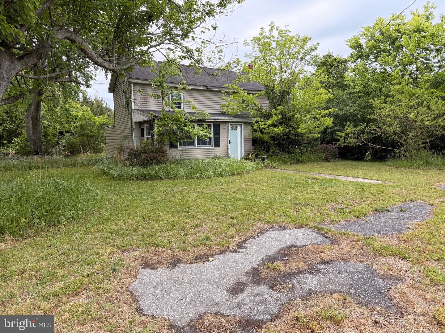 23686 Earl Webster Road photo 3