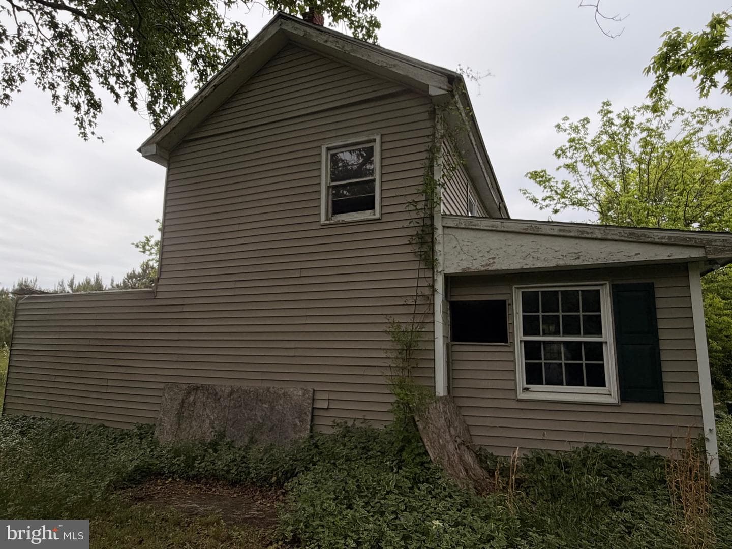 23686 Earl Webster Road photo 4